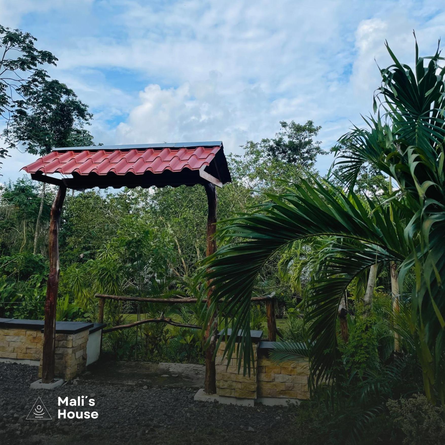Mali'S House Hotel La Fortuna Екстериор снимка