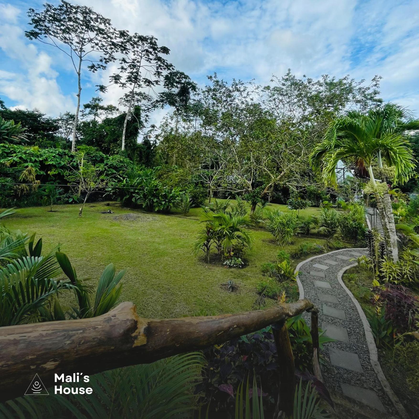 Mali'S House Hotel La Fortuna Екстериор снимка